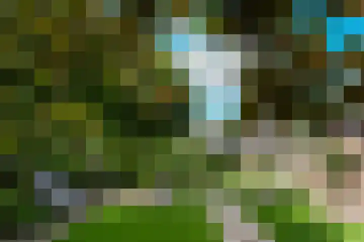 Apollovlinderlaan 27 Eindhoven thumbnail 5