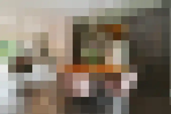 Apollovlinderlaan 27 Eindhoven thumbnail 8
