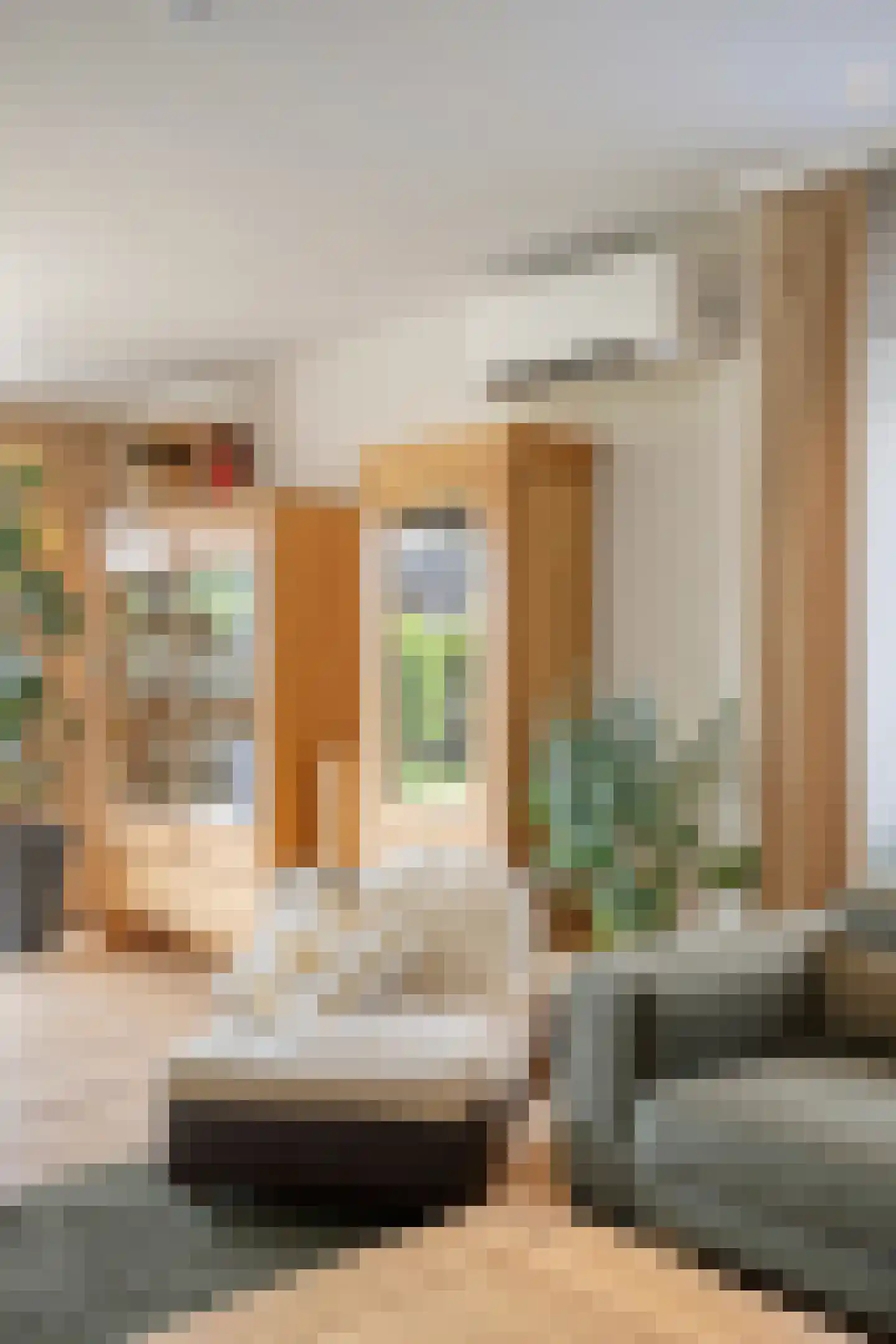 Apollovlinderlaan 8 Eindhoven thumbnail 12