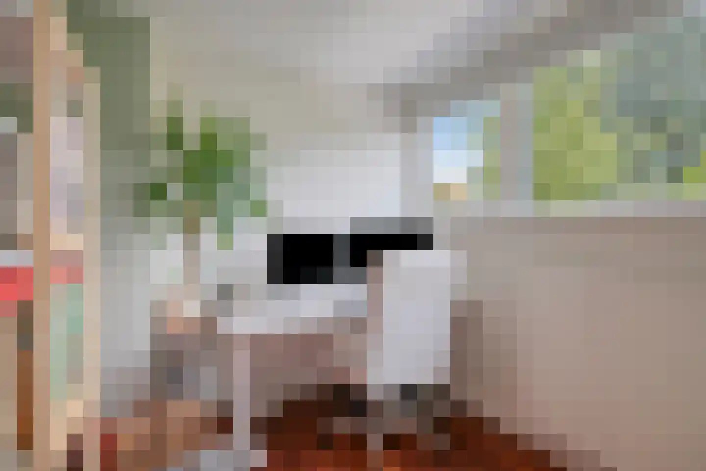 Apollovlinderlaan 8 Eindhoven thumbnail 32