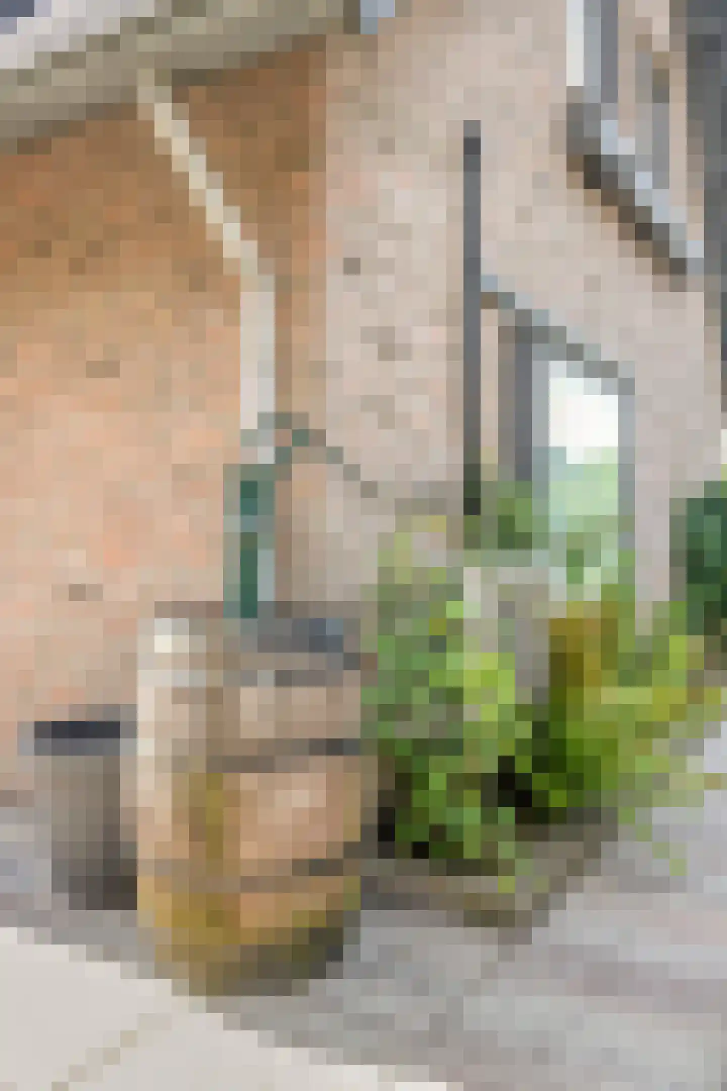 Apollovlinderlaan 8 Eindhoven thumbnail 43