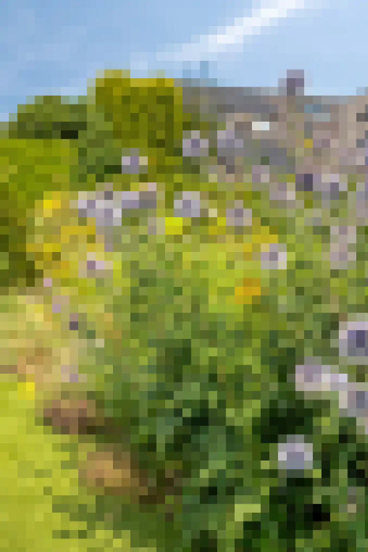 Apollovlinderlaan 8 Eindhoven thumbnail 50