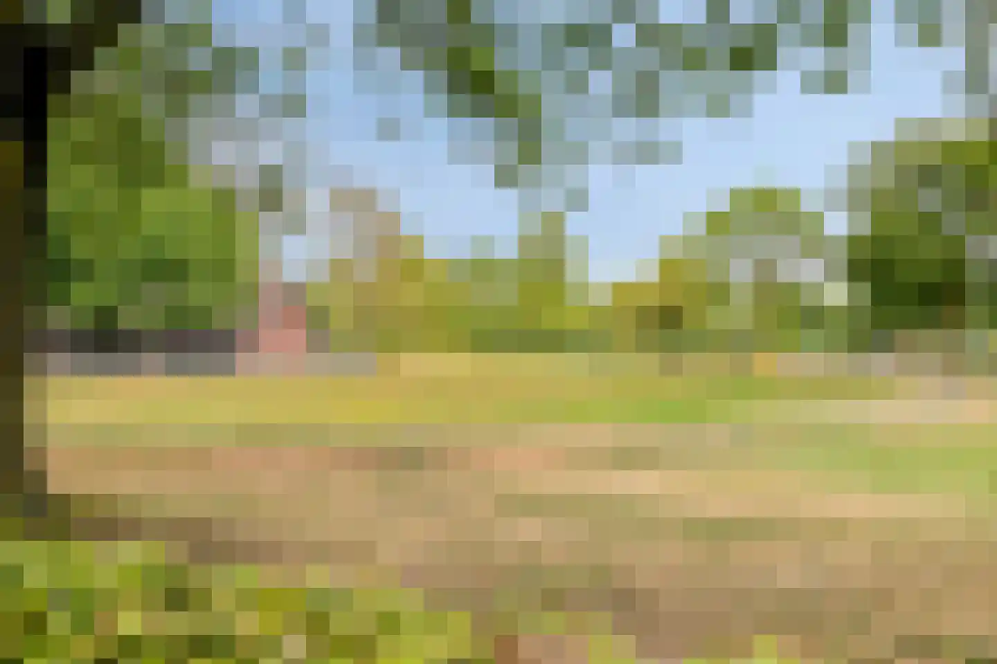Apollovlinderlaan 8 Eindhoven thumbnail 55