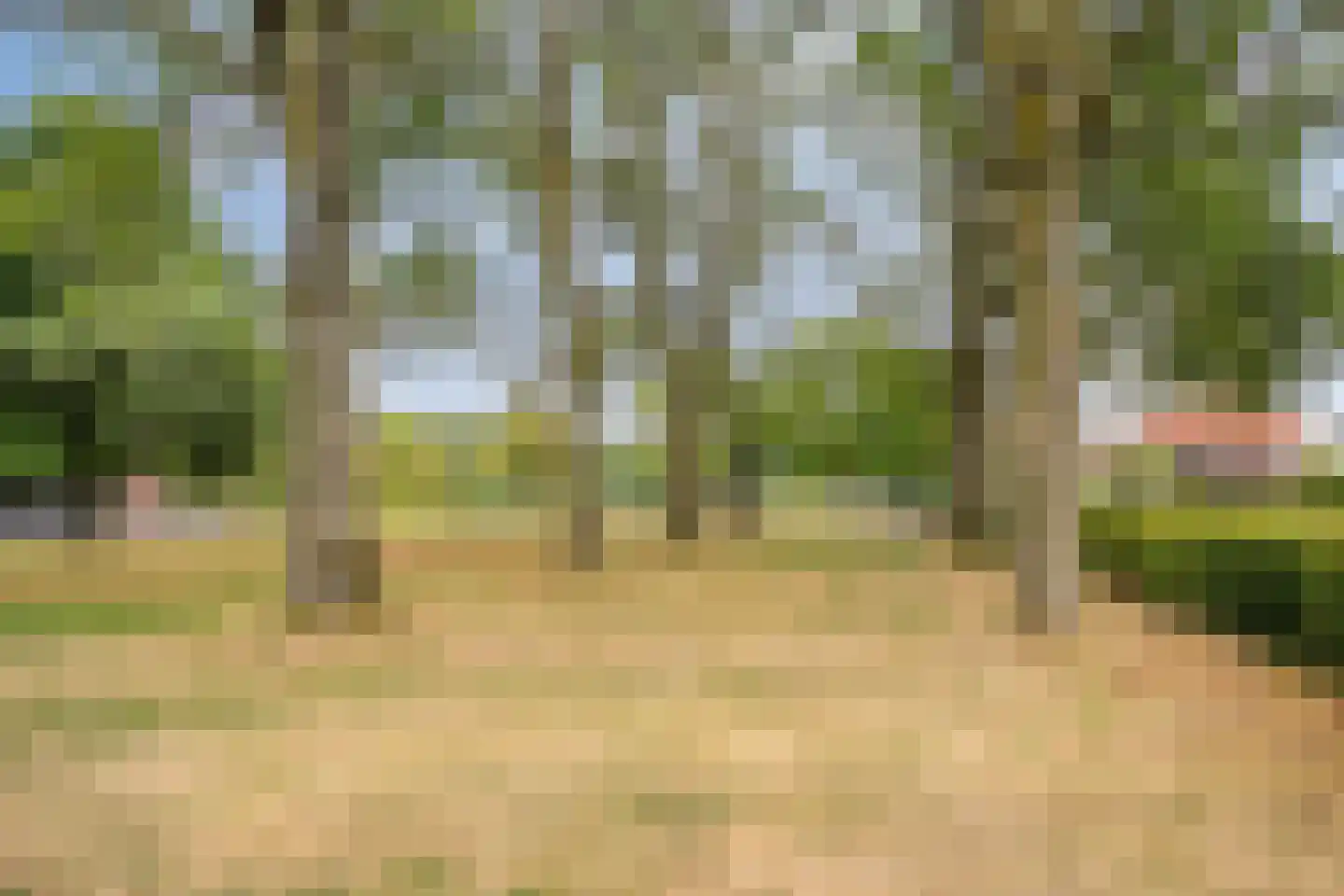 Apollovlinderlaan 8 Eindhoven thumbnail 56