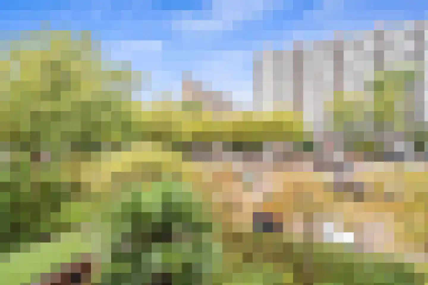 Apolloweg 45 Delft thumbnail 8