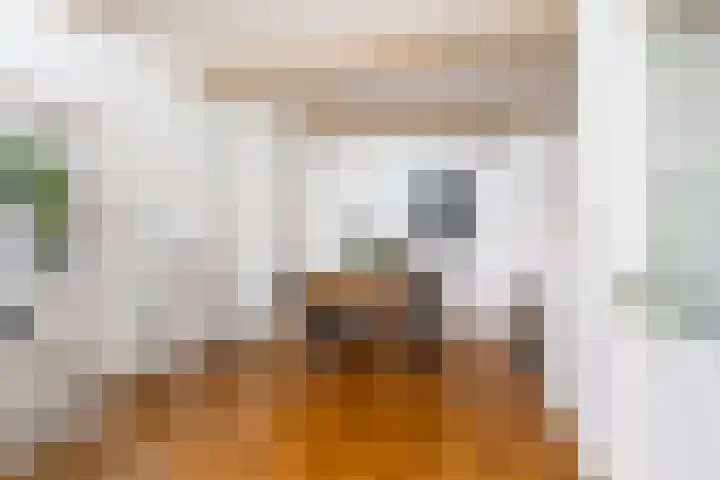 Apoortenmolendrift 2 Groningen thumbnail 10