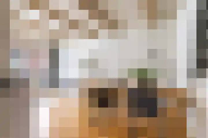 Apoortenmolendrift 2 Groningen thumbnail 14