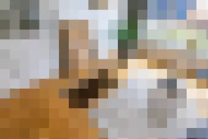 Apoortenmolendrift 2 Groningen thumbnail 15