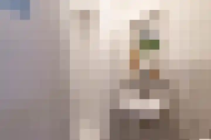 Apoortenmolendrift 2 Groningen thumbnail 17