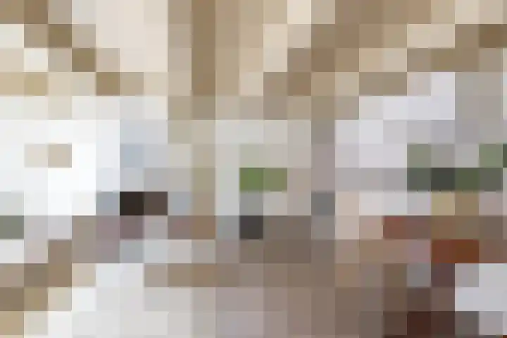 Apoortenmolendrift 2 Groningen thumbnail 21