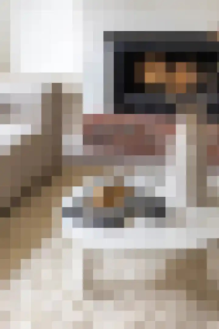 Apoortenmolendrift 2 Groningen thumbnail 24