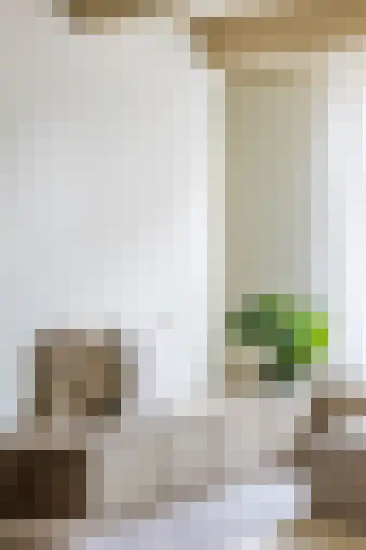 Apoortenmolendrift 2 Groningen thumbnail 25