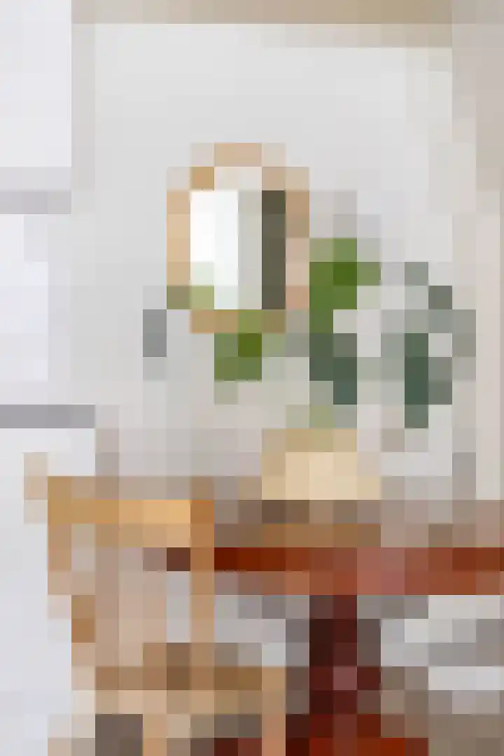 Apoortenmolendrift 2 Groningen thumbnail 28