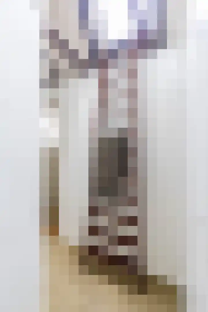 Apoortenmolendrift 2 Groningen thumbnail 33