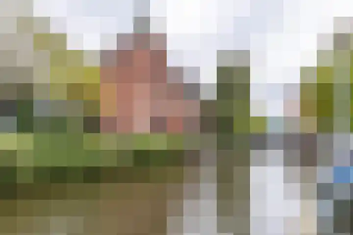 Apoortenmolendrift 2 Groningen thumbnail 4