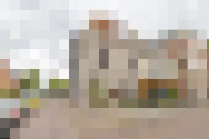 Apoortenmolendrift 2 Groningen thumbnail 45