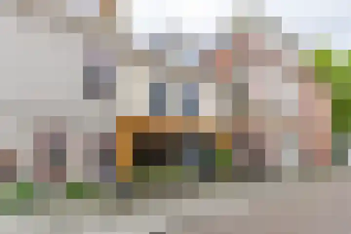Apoortenmolendrift 2 Groningen thumbnail 5