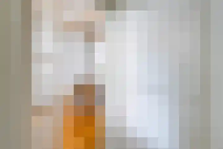 Apoortenmolendrift 2 Groningen thumbnail 8