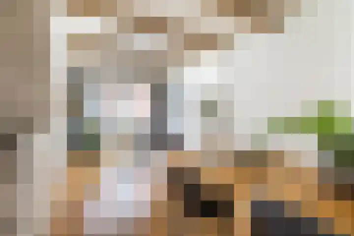 Apoortenmolendrift 2 Groningen thumbnail 9