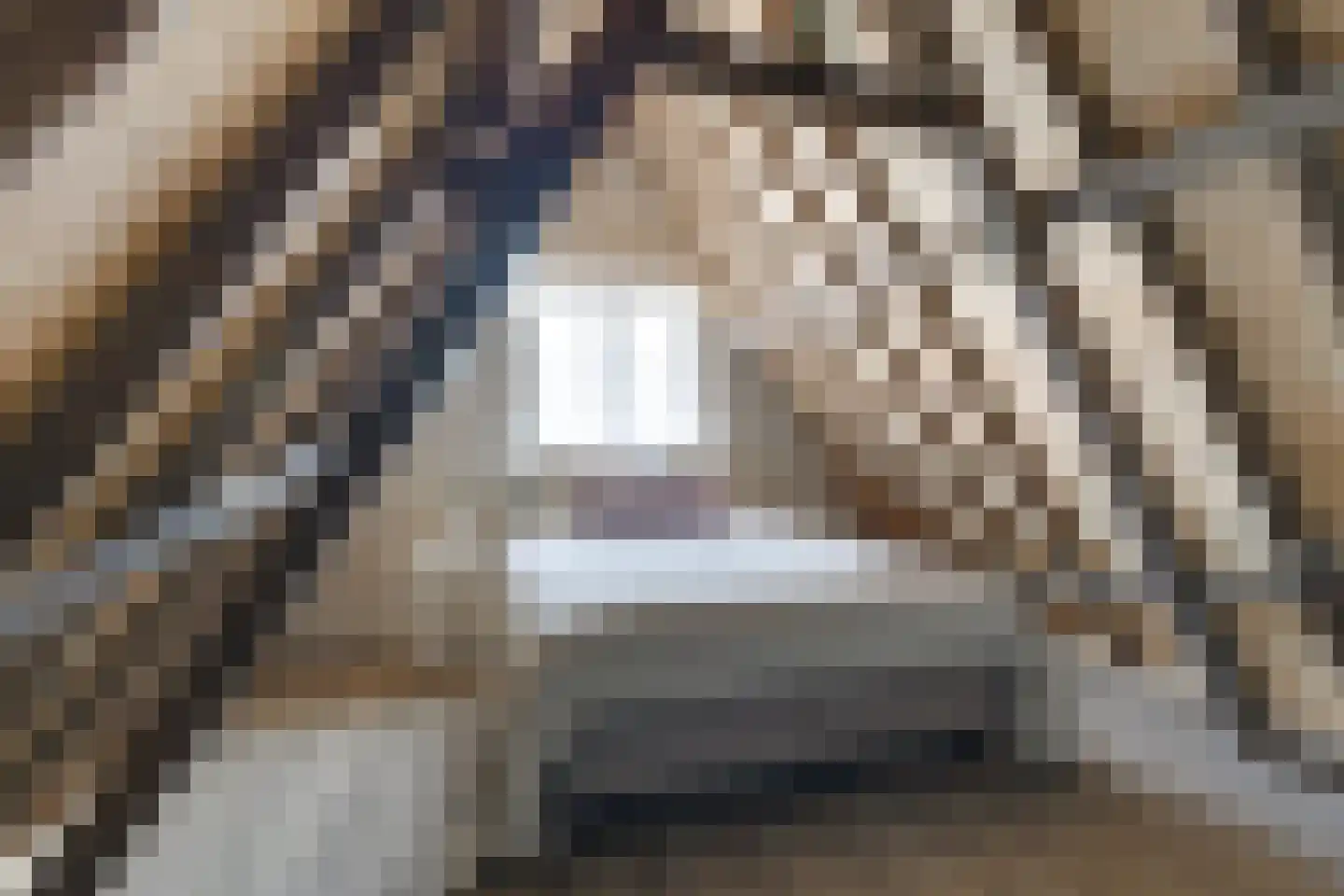 Apothekersdijk 12 D Leiden thumbnail 13