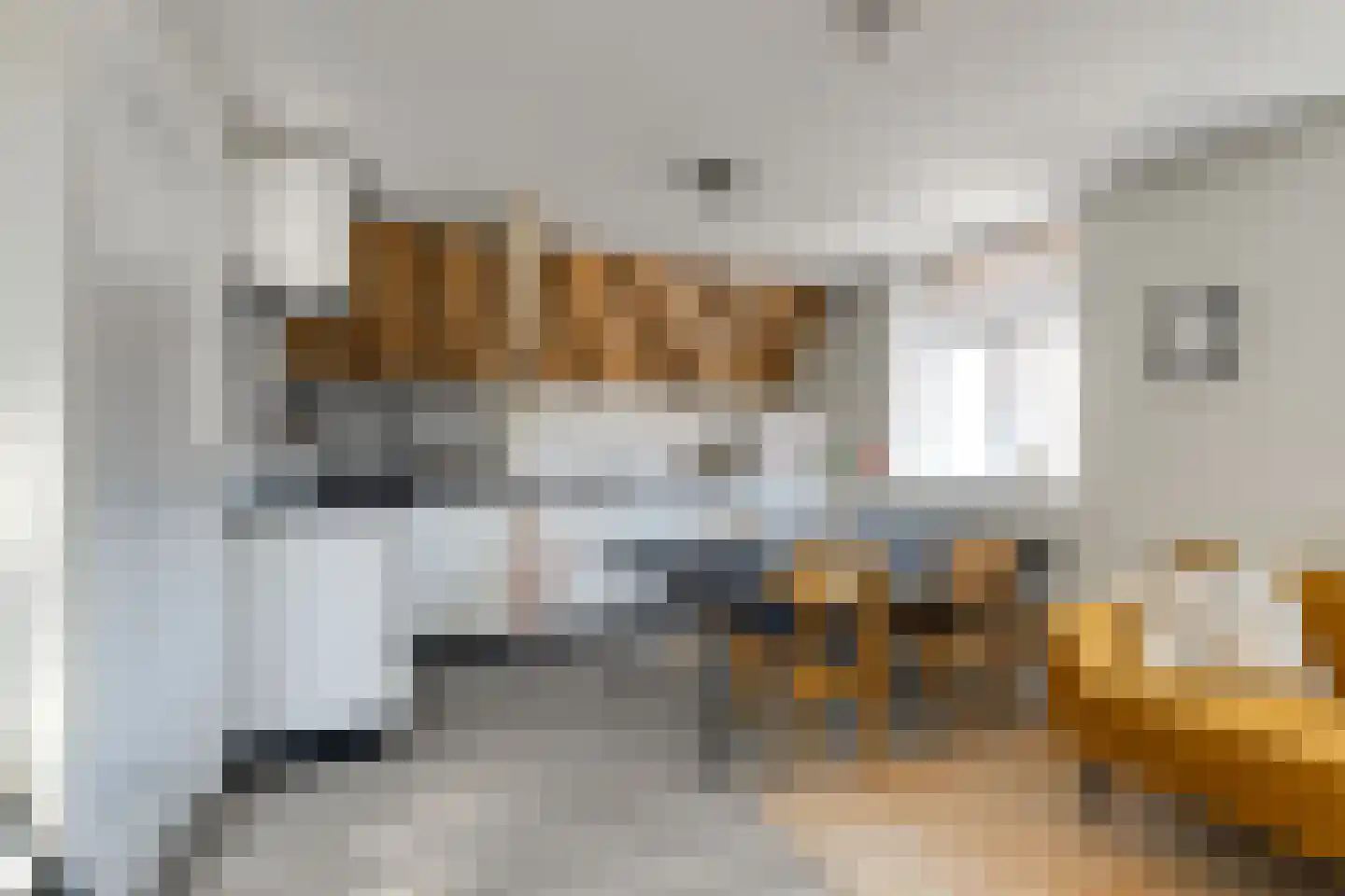Apothekersdijk 12 D Leiden thumbnail 4