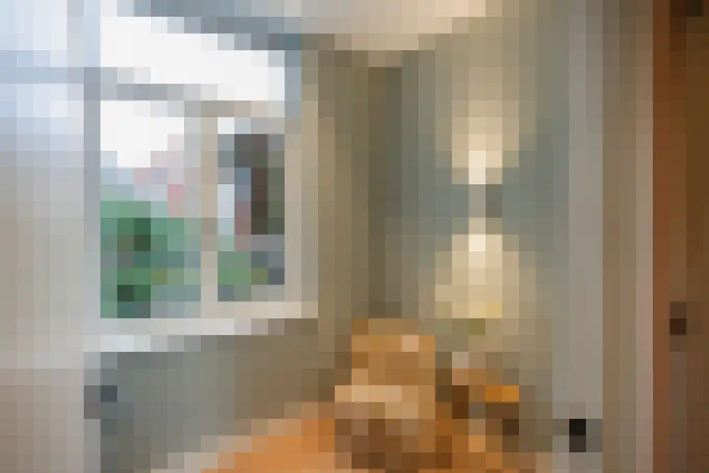 Apothekersdijk 18 Leiden thumbnail 15