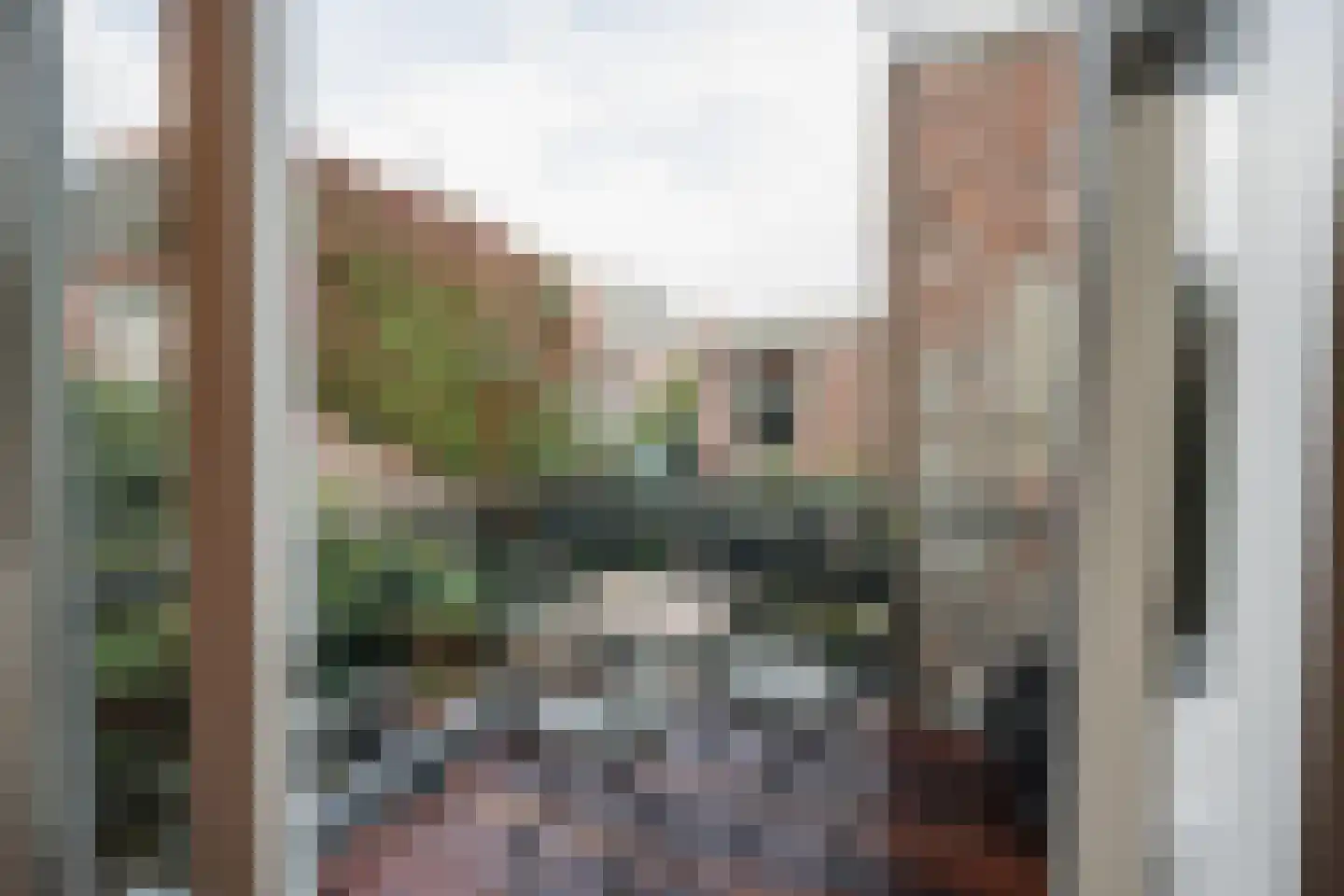 Apothekersdijk 18 Leiden thumbnail 22