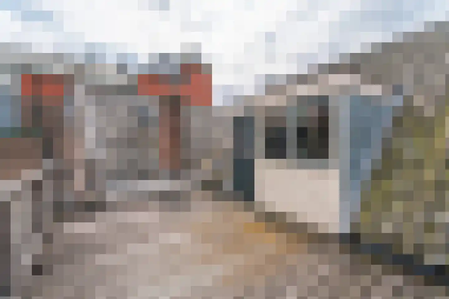 Apothekersdijk 30 Leiden thumbnail 47