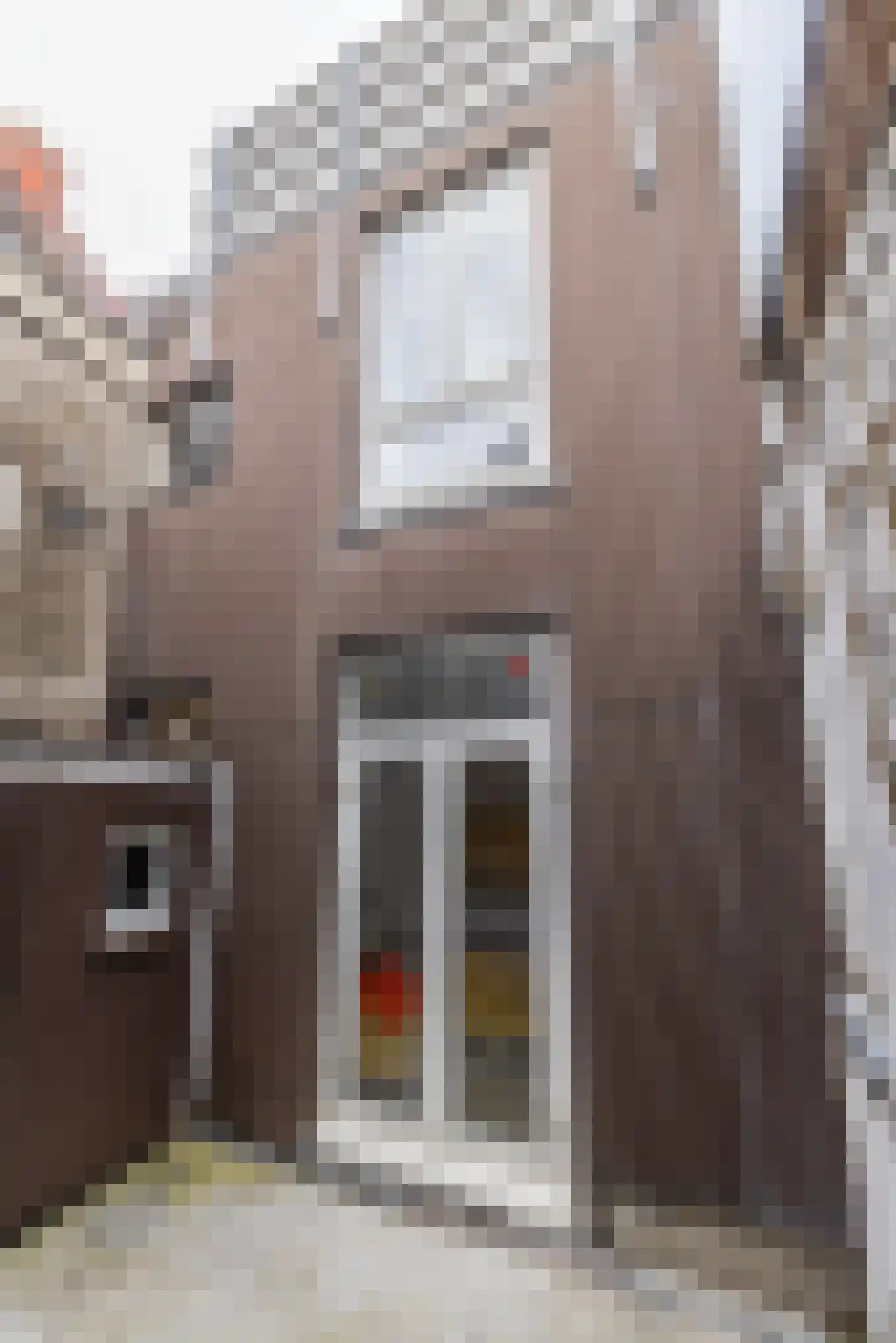 Apothekersdijk 36 Leiden thumbnail 23