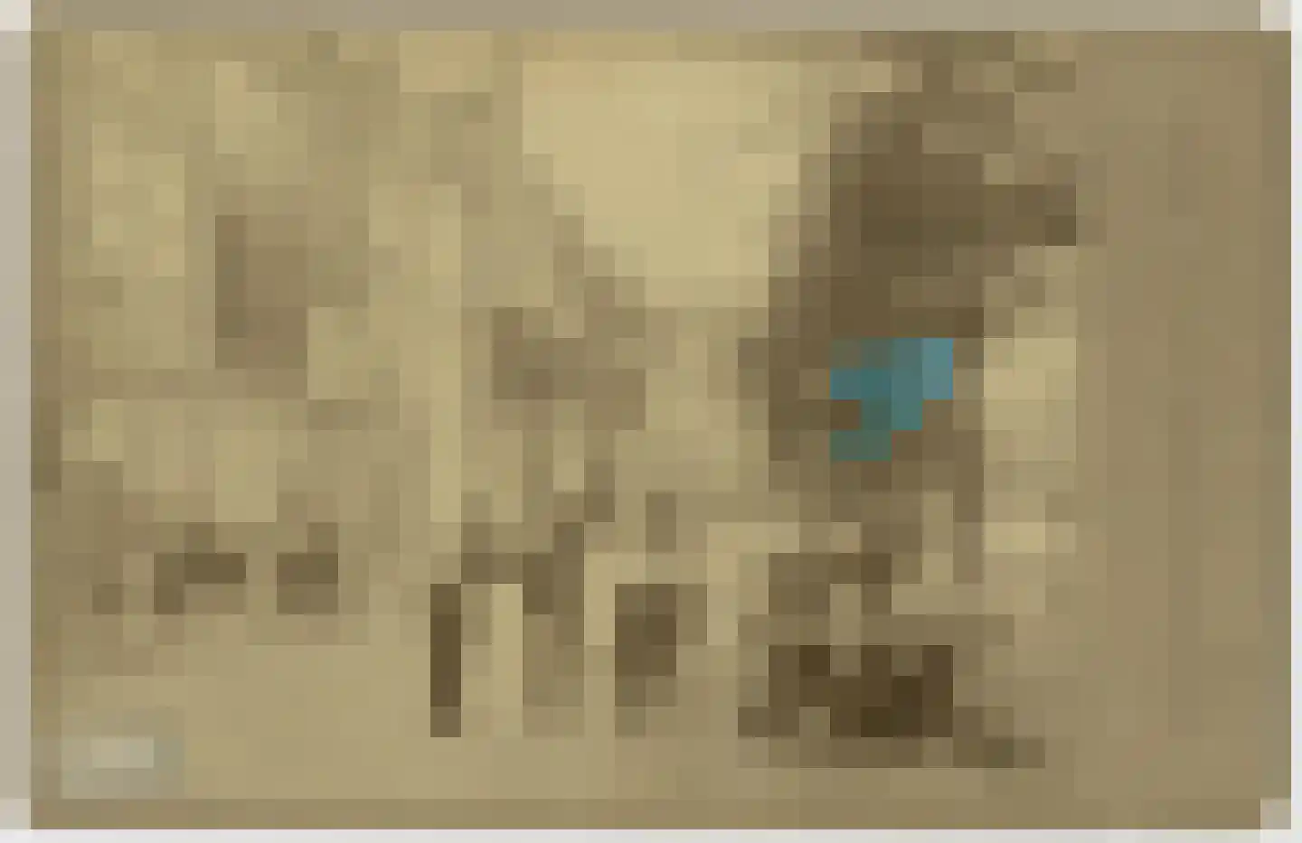 Apothekersdijk 36 Leiden thumbnail 74