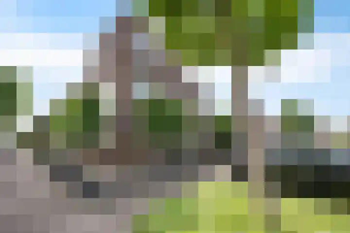 Appalachen 5 Assendelft