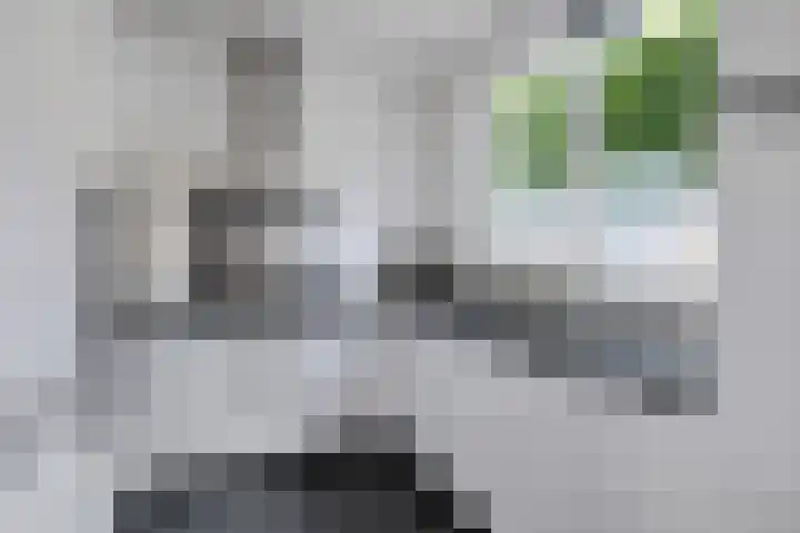 Appalachen 5 Assendelft thumbnail 10