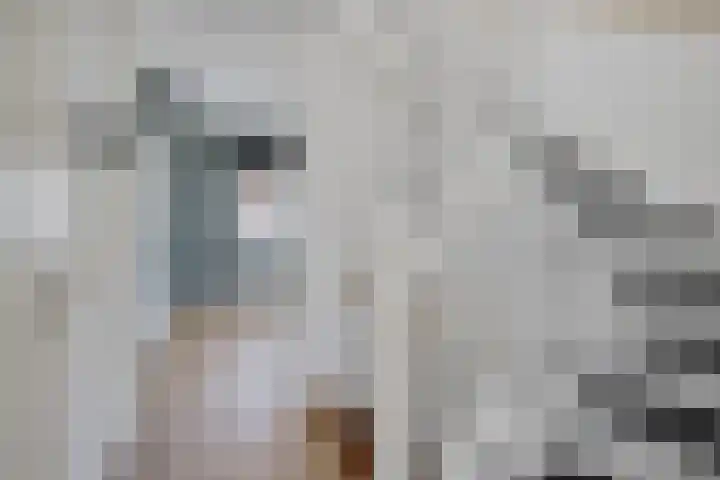 Appalachen 5 Assendelft thumbnail 14