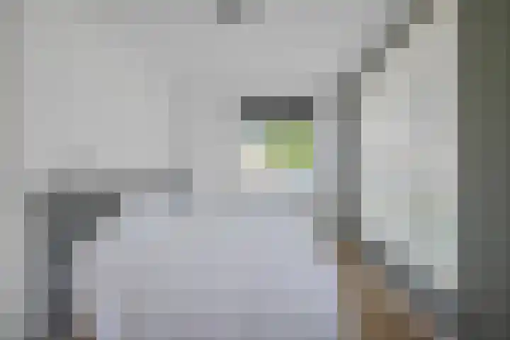 Appalachen 5 Assendelft thumbnail 20