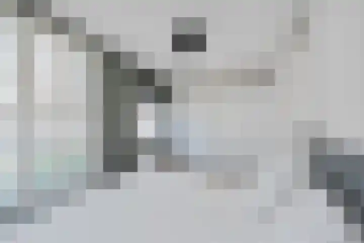 Appalachen 5 Assendelft thumbnail 21