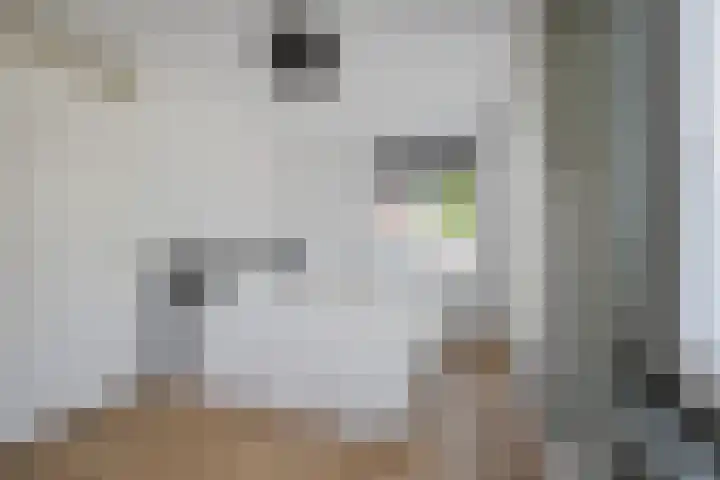 Appalachen 5 Assendelft thumbnail 23
