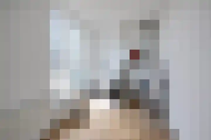 Appalachen 5 Assendelft thumbnail 29