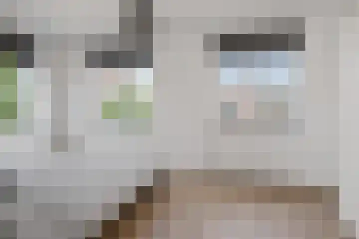 Appalachen 5 Assendelft thumbnail 31