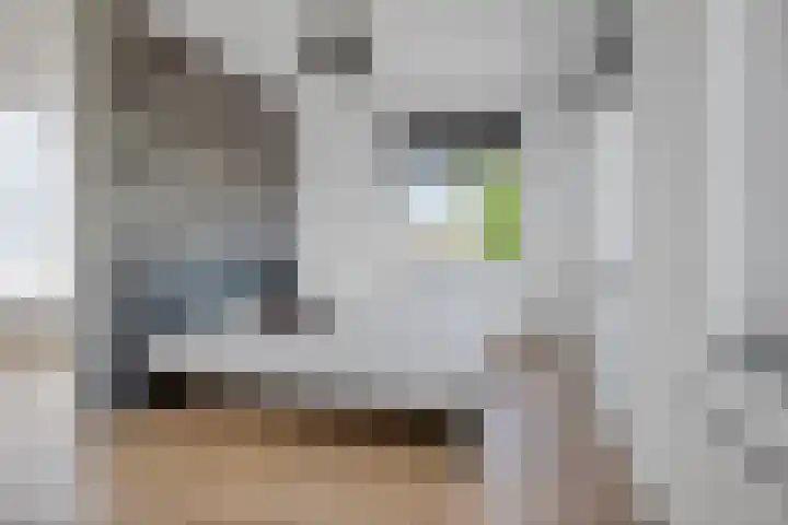 Appalachen 5 Assendelft thumbnail 32