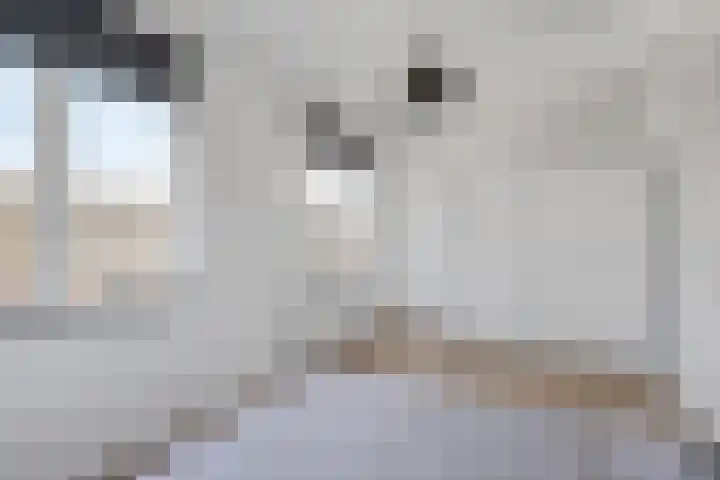 Appalachen 5 Assendelft thumbnail 33