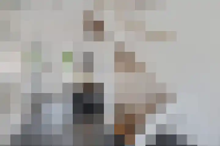Appalachen 5 Assendelft thumbnail 7