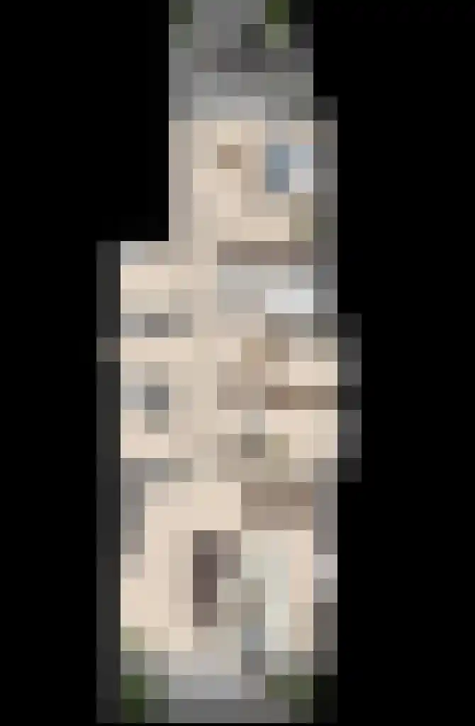 Appartement Breevaart Zuid (Bouwnr. 5) in Gouda