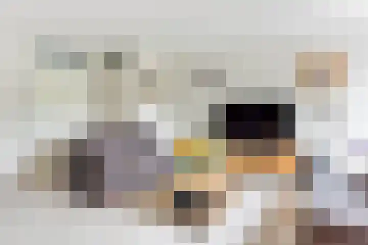 Appel acker 3 Heemskerk thumbnail 12