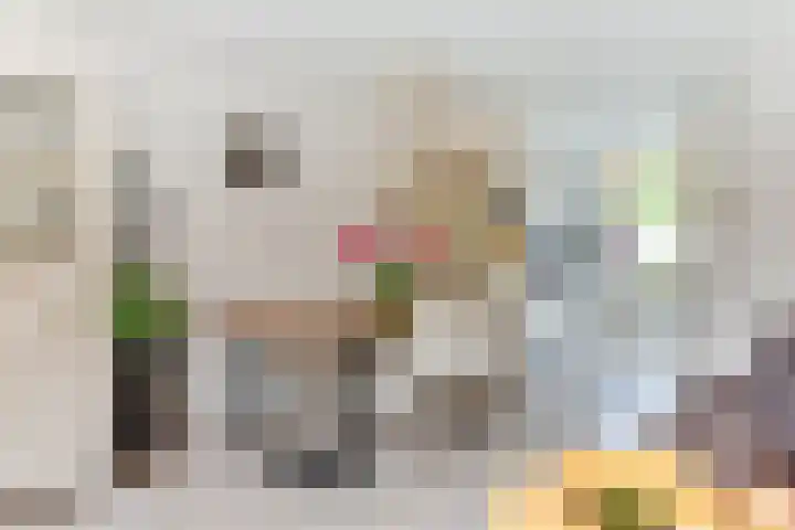 Appel acker 3 Heemskerk thumbnail 13
