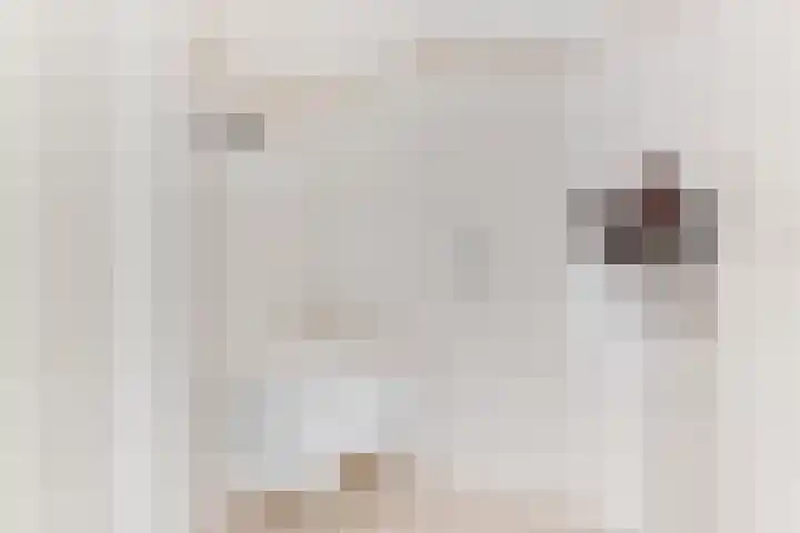 Appel acker 3 Heemskerk thumbnail 17