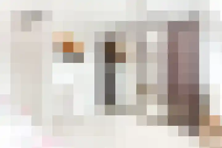 Appel acker 3 Heemskerk thumbnail 20