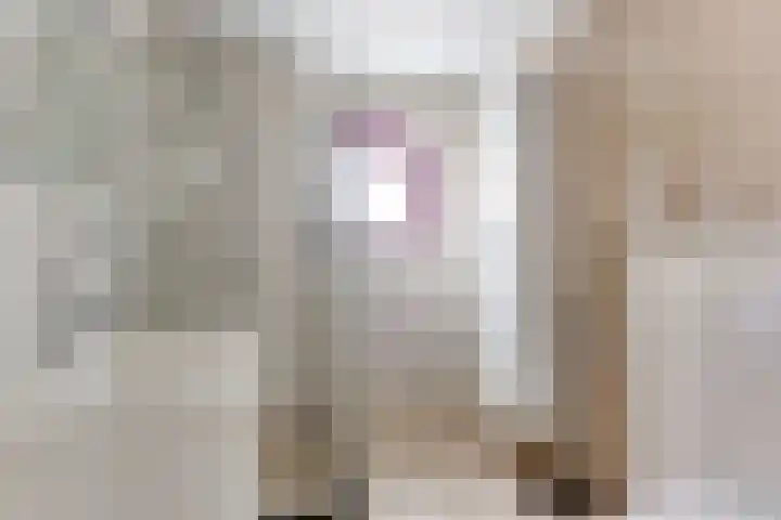 Appel acker 3 Heemskerk thumbnail 22