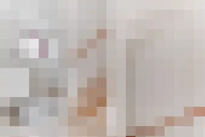 Appel acker 3 Heemskerk thumbnail 24