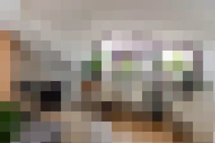 Appel acker 3 Heemskerk thumbnail 25