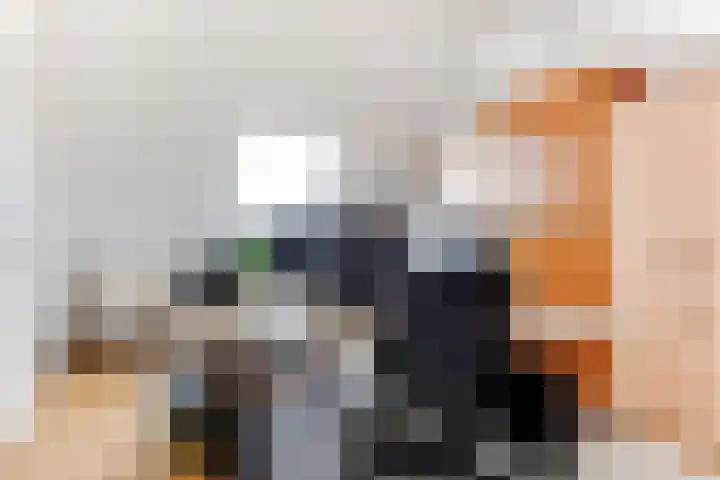 Appel acker 3 Heemskerk thumbnail 26